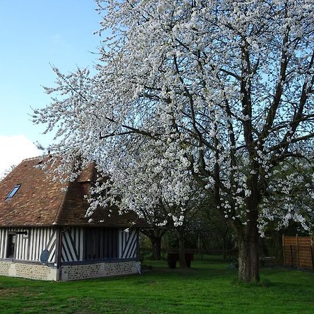 Gite Falafa Normand Pont-Évêque Exteriör bild